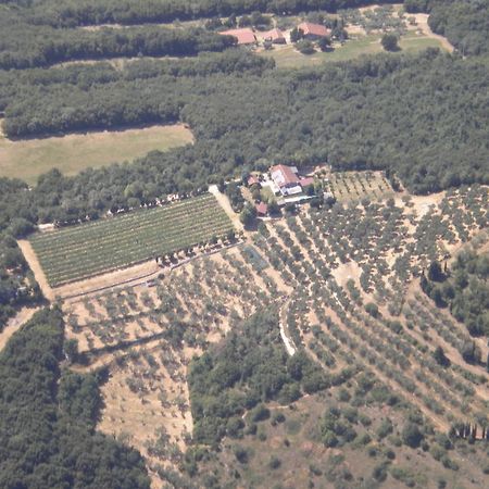 B&B Ca' Morino Verona Bagian luar foto