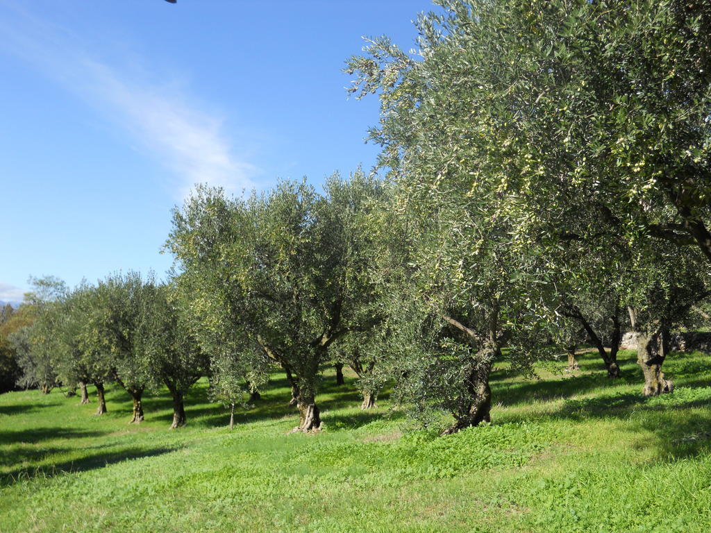 B&B Ca' Morino Verona Bagian luar foto