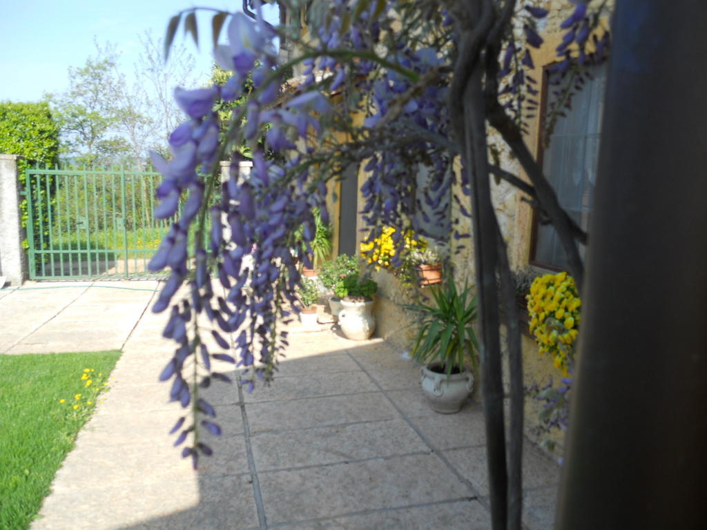 B&B Ca' Morino Verona Bagian luar foto